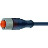 Câbles de raccordement avec prise M12 droite RKT 12-346 12 pôles câble 2m